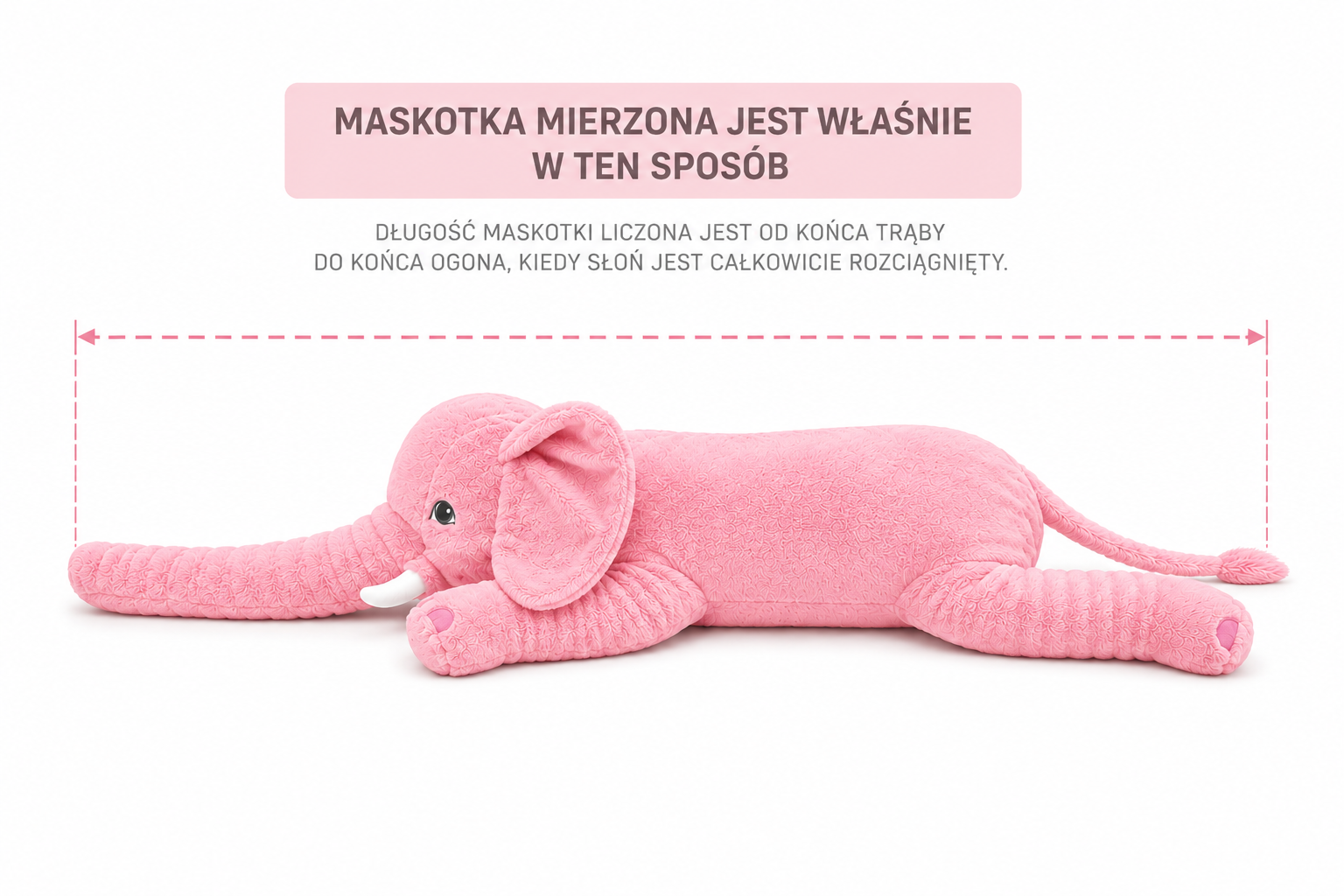 Zdjęcie Pluszaka