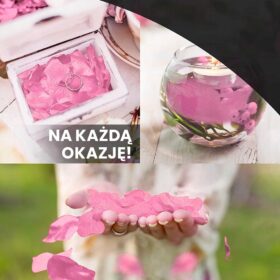 Zdjęcie Pluszaka